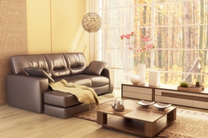 Luxury Living Room